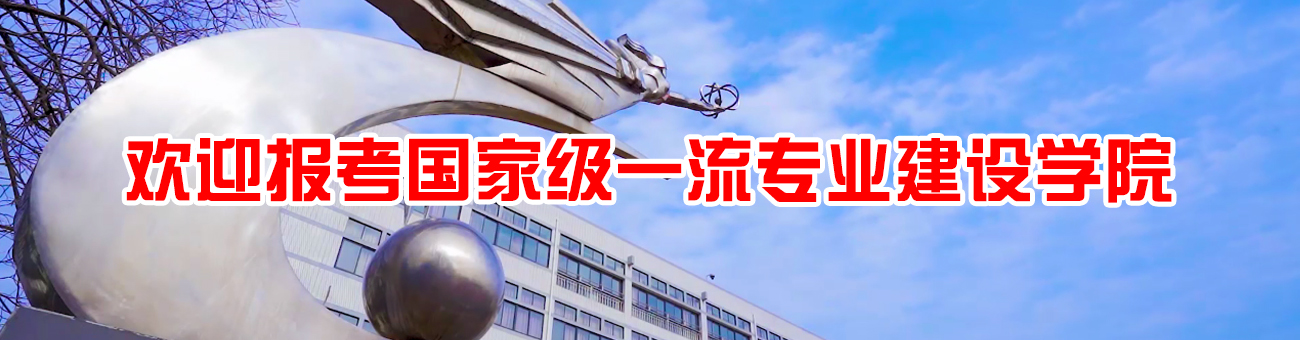 国家一流专业建设公司